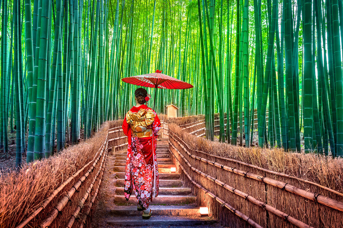 Culture Day in Japan: A Celebration of Arts, Tradition, and Innovation