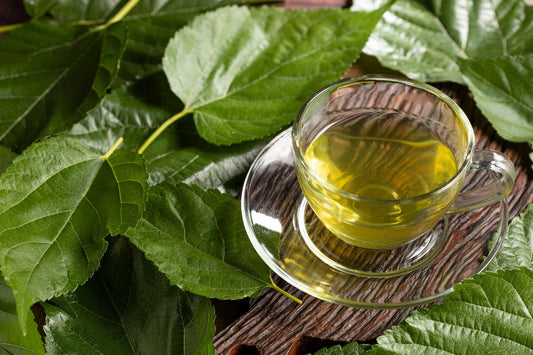 The Health Benefits of Kuwacha: Japan's Mulberry Leaf Tea