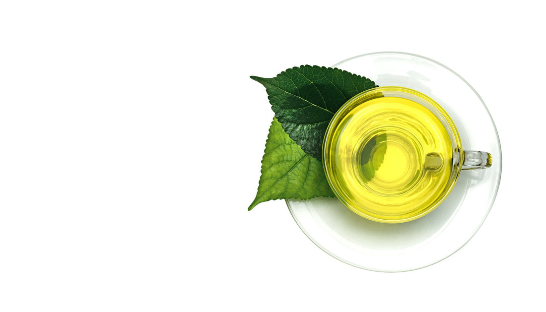 Why Kuwacha Is Gaining Popularity: The Rising Trend of Japanese Mulberry Leaf Tea