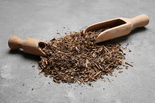 Hojicha in Japanese History: A Comfort Tea for Hard Times
