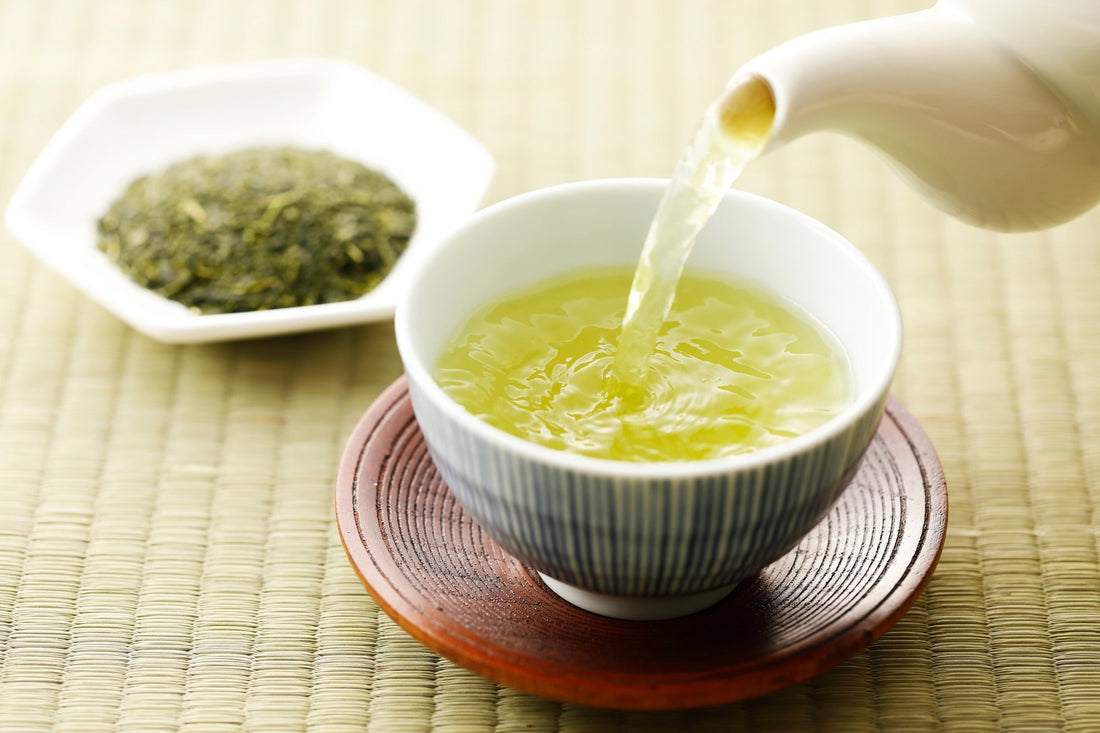 An Introduction to Sencha: Japan’s Everyday Green Tea