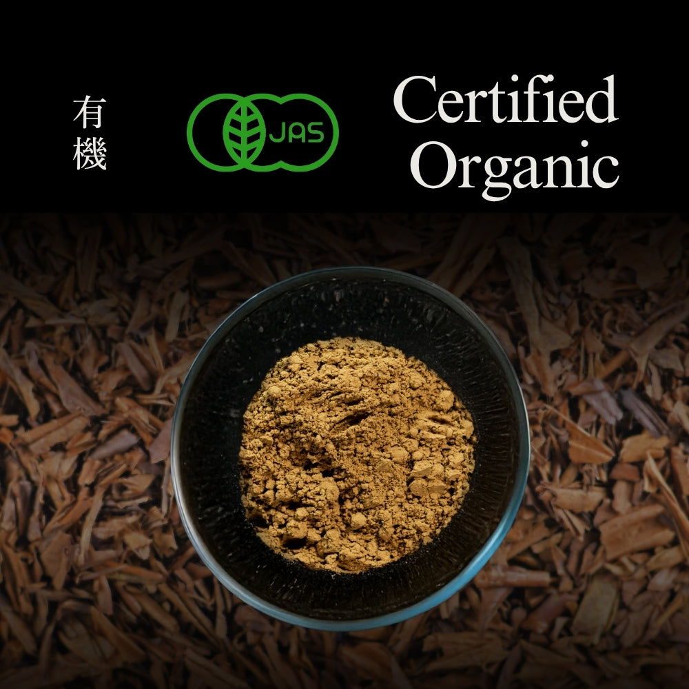 YEDOENSIS Hojicha Powder - Organic Japanese Roasted Green Tea Stem Powder (100g)