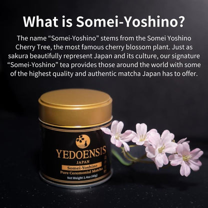 YEDOENSIS Pure Ceremonial Matcha "Somei-Yoshino" - Authentic Japanese Green Tea Ceremonial Matcha Powder (40g)