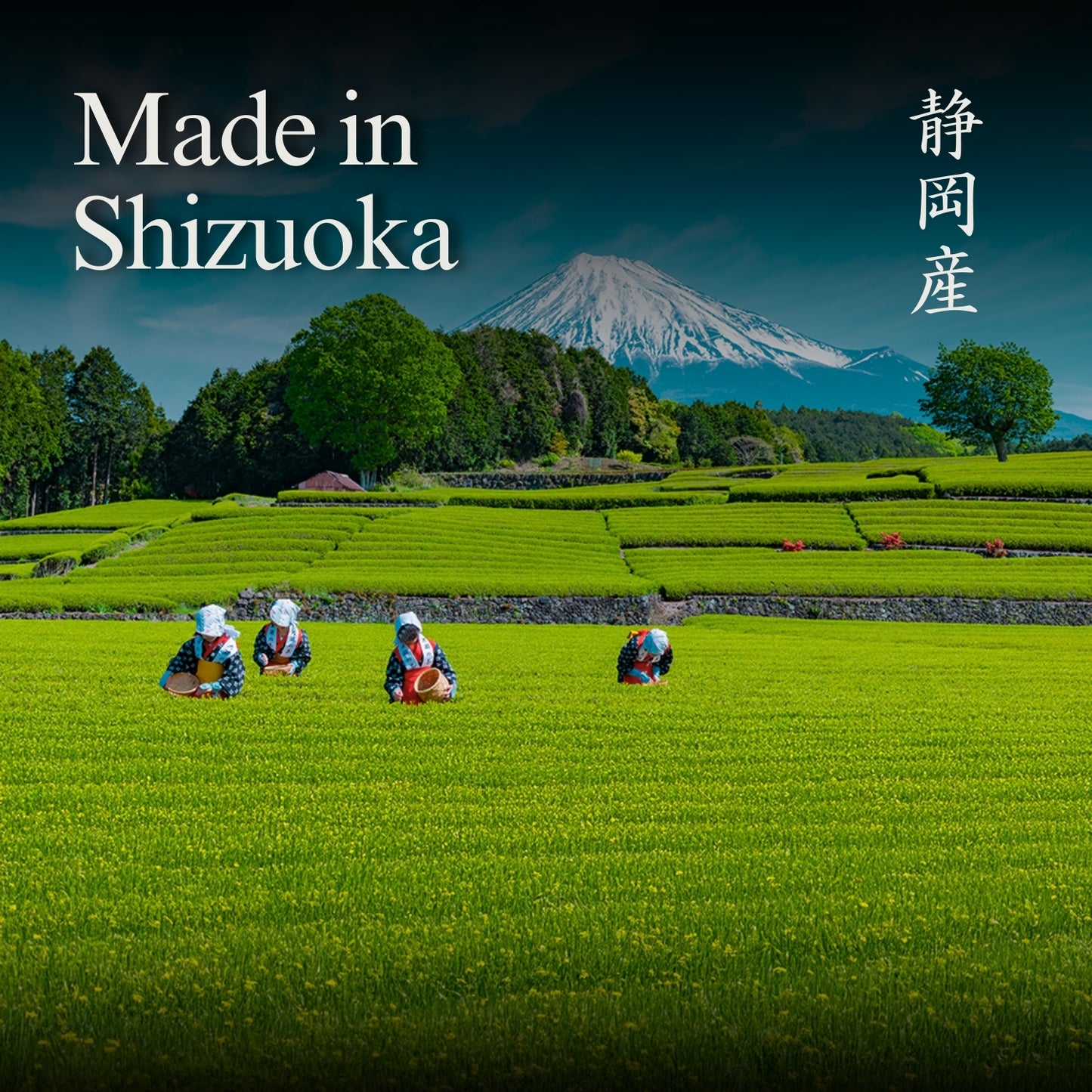 YEDOENSIS Wakocha Powder - Organic Japanese Black Tea Powder (40g)