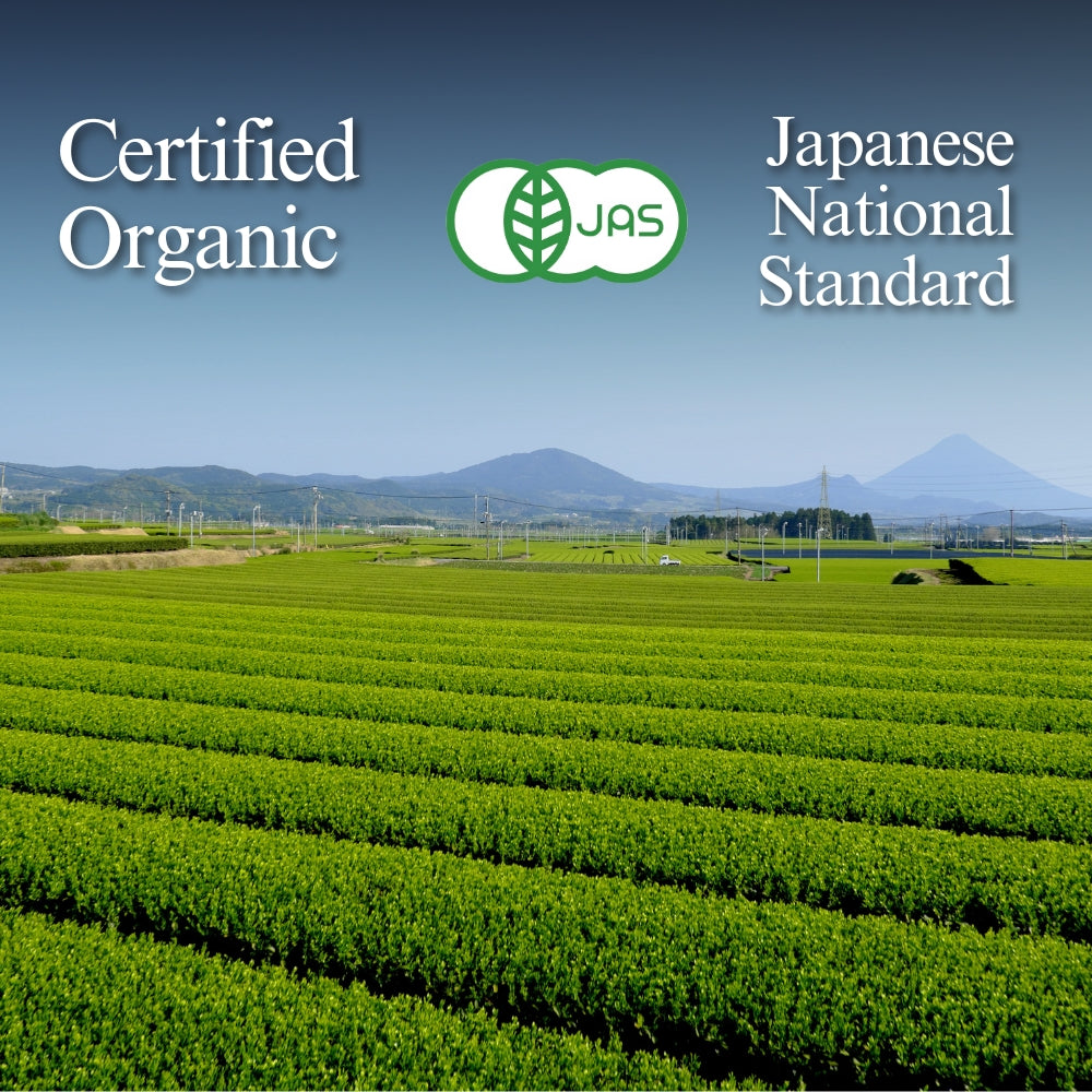Rows of tea bushes in an open field with distant hills, the JAS mark, and text 'Certified Organic' and 'Japanese National Standard'.
