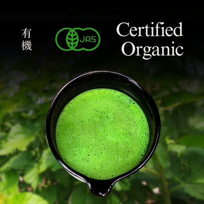 YEDOENSIS Kuwacha Powder - Organic Japanese Mulberry Leaves Tea Powder (100g)