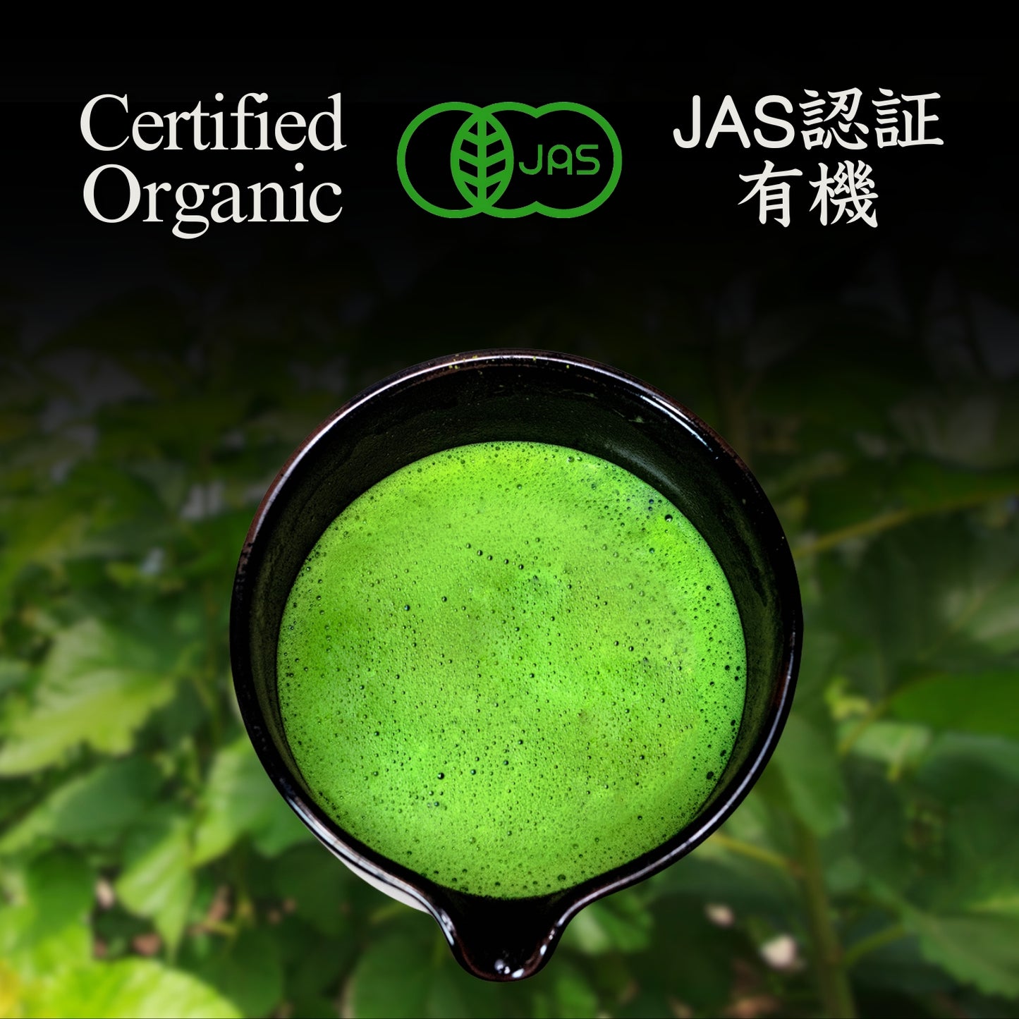 YEDOENSIS Kuwacha Powder - Organic Japanese Mulberry Tea Powder (40g)