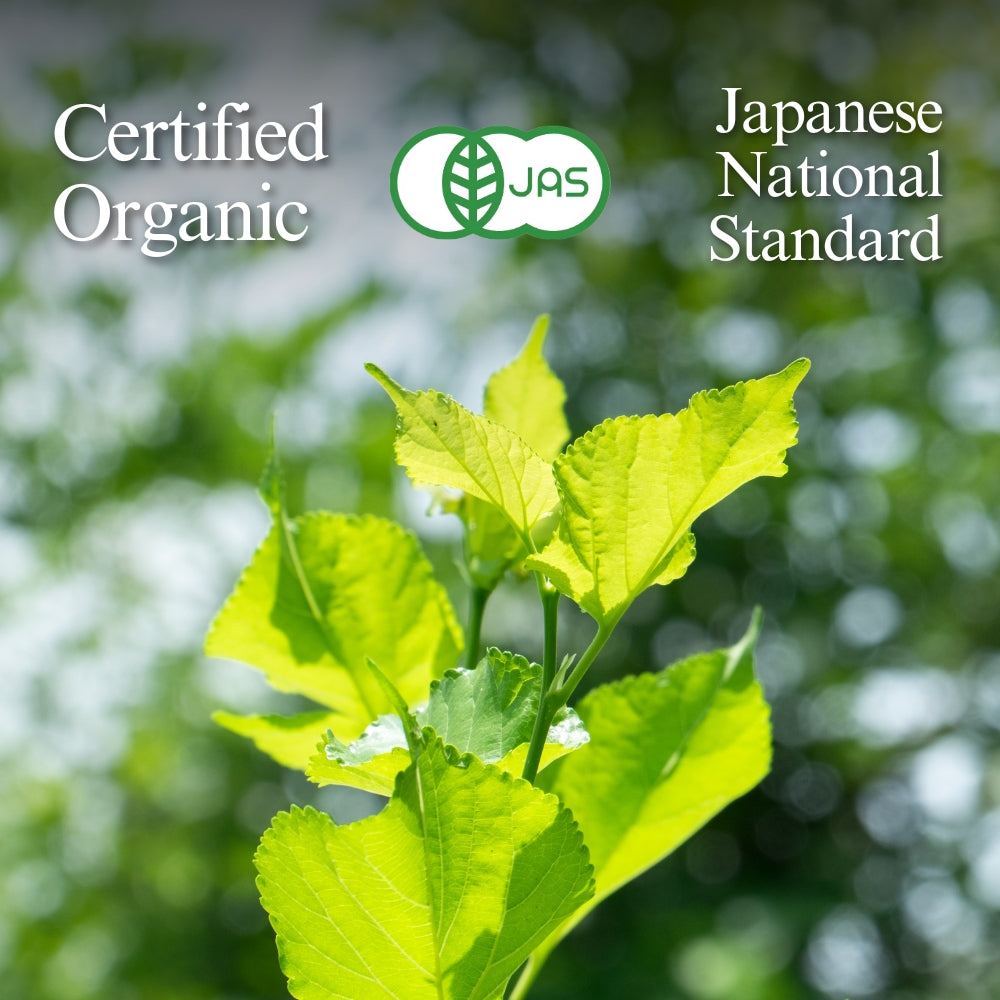 Rows of tea bushes in an open field with distant hills, the JAS mark, and text 'Certified Organic' and 'Japanese National Standard'.