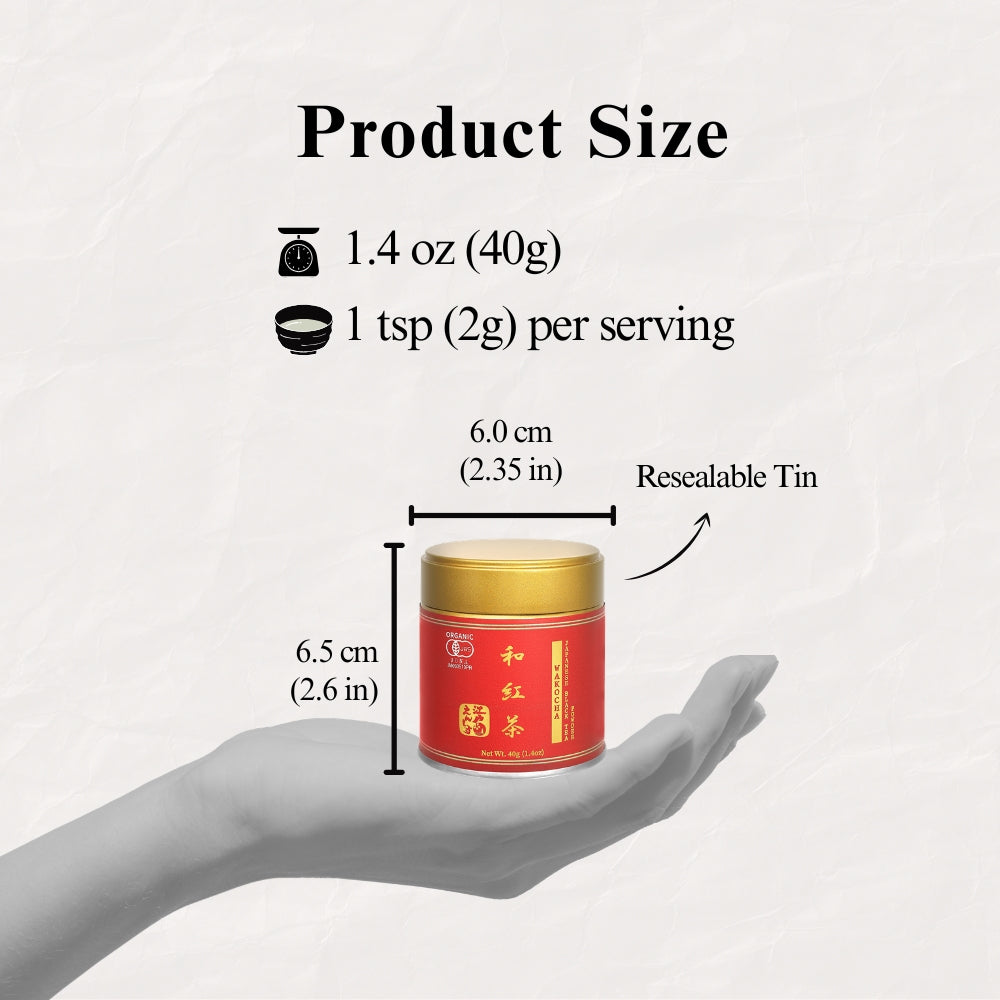 Product size guide for the Wakocha Japanese black tea tin held in a hand, marked 6.0 cm wide and 6.5 cm tall, 40g net weight and 1 tsp (2g) per serving, labelled resealable tin.